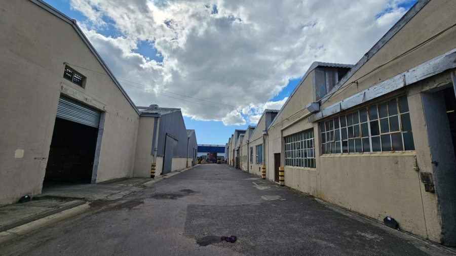 To Let commercial Property for Rent in Epping Industrial Western Cape